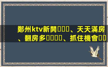 鄭州ktv新開、天天滿房、翻房多、抓住機會、